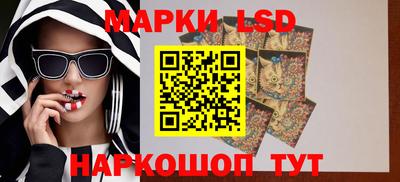 амф Камышлов