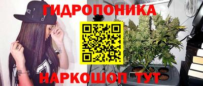крисы Канаш