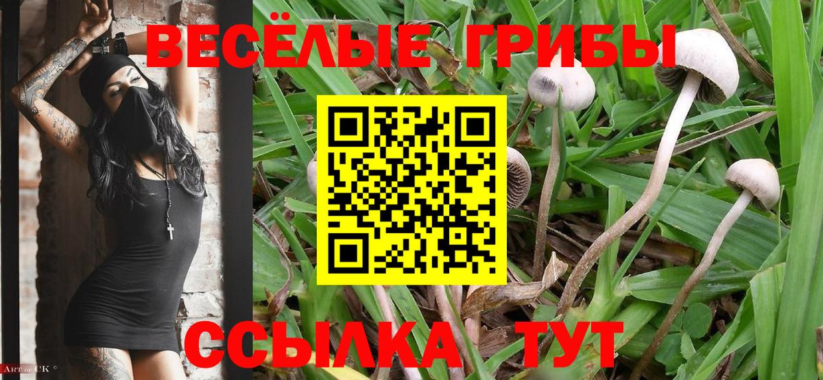 Псилоцибиновые грибы GOLDEN TEACHER  Вход с VPN  Галлюциногенные грибы ЛСД  Армавир 